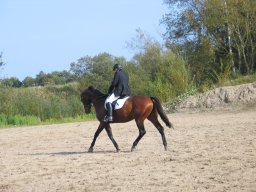 LF HSC - 0407_web
